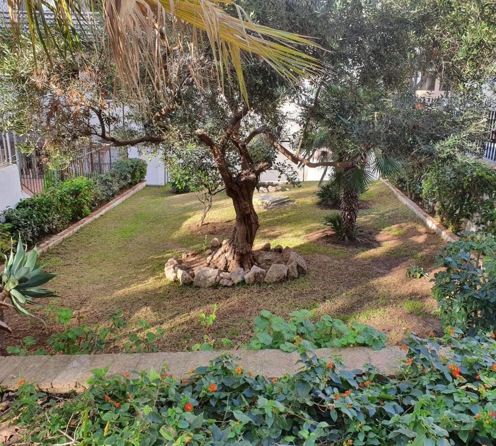 Apartment Mediterraneo Marbella
